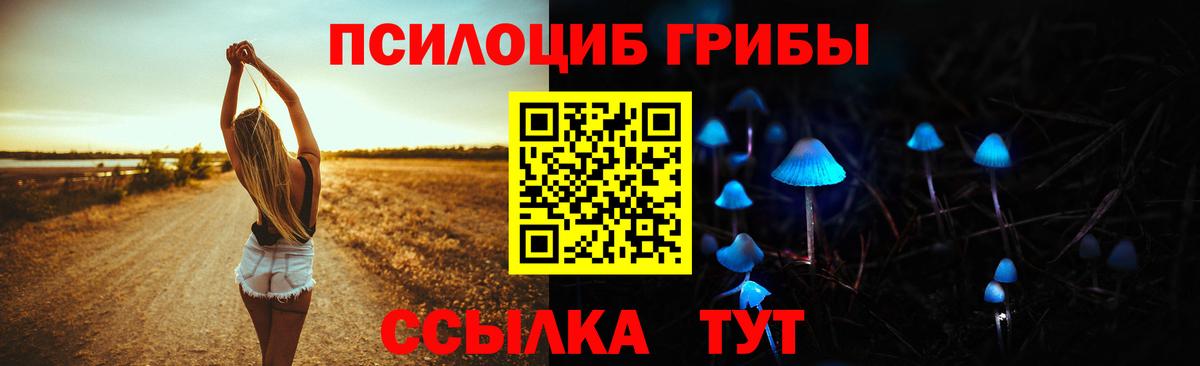 Михайловск  Псилоцибиновые грибы Psilocybine cubensis  Вход с VPN 